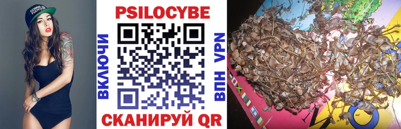 ОМГ ОМГ как зайти Белёв Псилоцибиновые грибы Psilocybe
